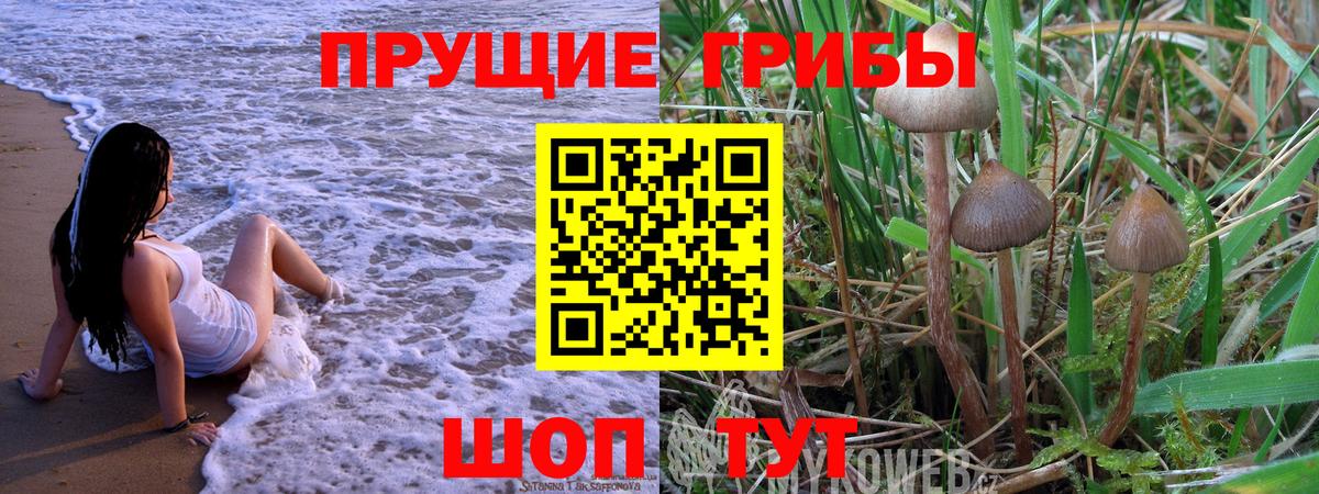 цены   Псилоцибиновые грибы Psilocybe  Вход с VPN  Кузнецк 
